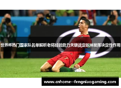 世界杯热门国家队名单解析老将经验助力关键战定乾坤发挥决定性作用