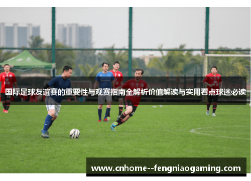 国际足球友谊赛的重要性与观赛指南全解析价值解读与实用看点球迷必读