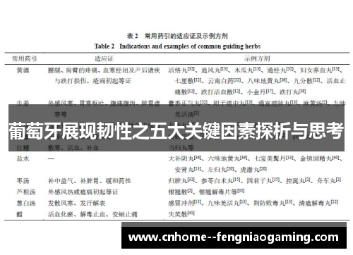 葡萄牙展现韧性之五大关键因素探析与思考 葡萄牙展现韧性之五大关键因素探析与思考