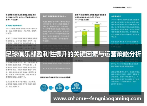 足球俱乐部盈利性提升的关键因素与运营策略分析 足球俱乐部盈利性提升的关键因素与运营策略分析