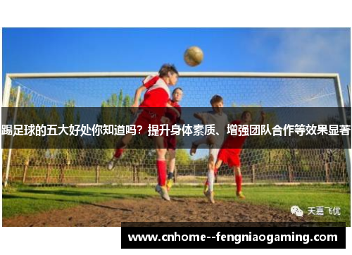 踢足球的五大好处你知道吗?提升身体素质、增强团队合作等效果显著 踢足球的五大好处你知道吗?提升身体素质、增强团队合作等效果显著