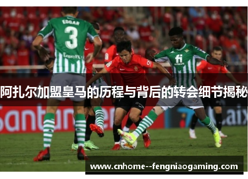 阿扎尔加盟皇马的历程与背后的转会细节揭秘