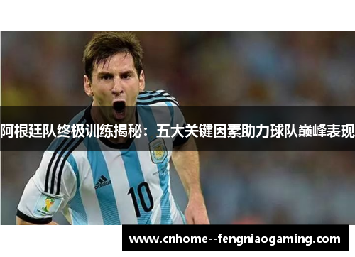 阿根廷队终极训练揭秘：五大关键因素助力球队巅峰表现