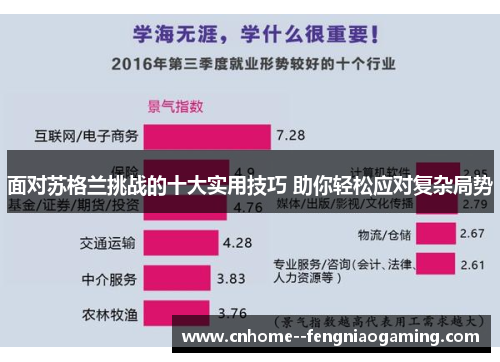 面对苏格兰挑战的十大实用技巧 助你轻松应对复杂局势