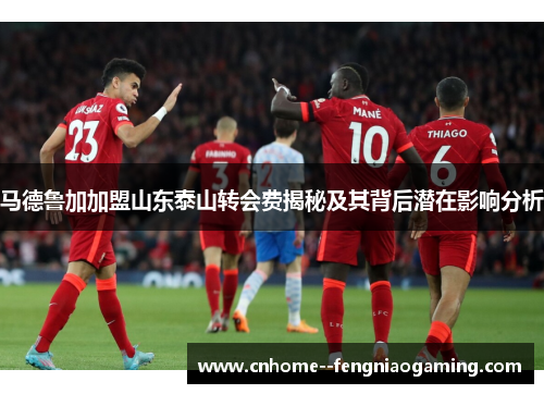 马德鲁加加盟山东泰山转会费揭秘及其背后潜在影响分析