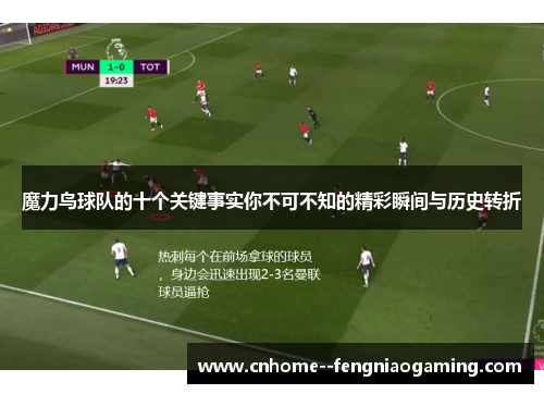 魔力鸟球队的十个关键事实你不可不知的精彩瞬间与历史转折